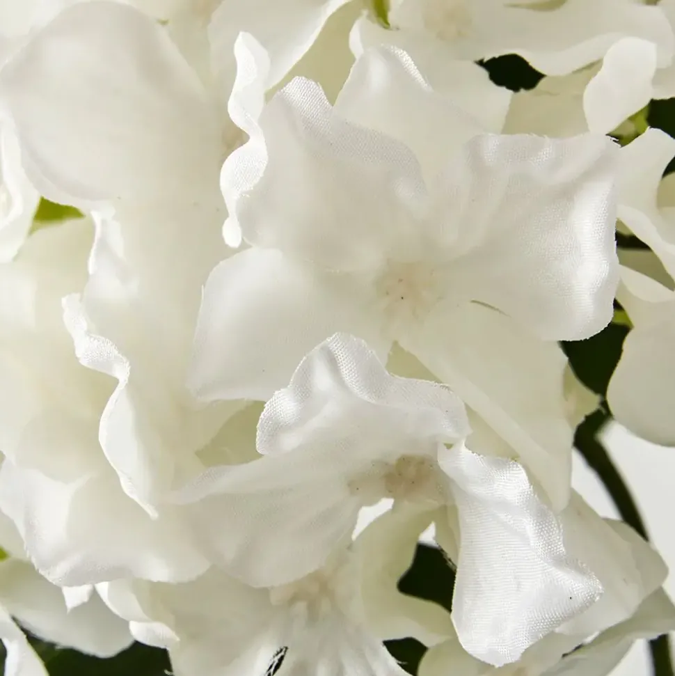 Potted Hydrangea Flower