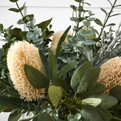 Protea Eucalypt Potted Flower L
