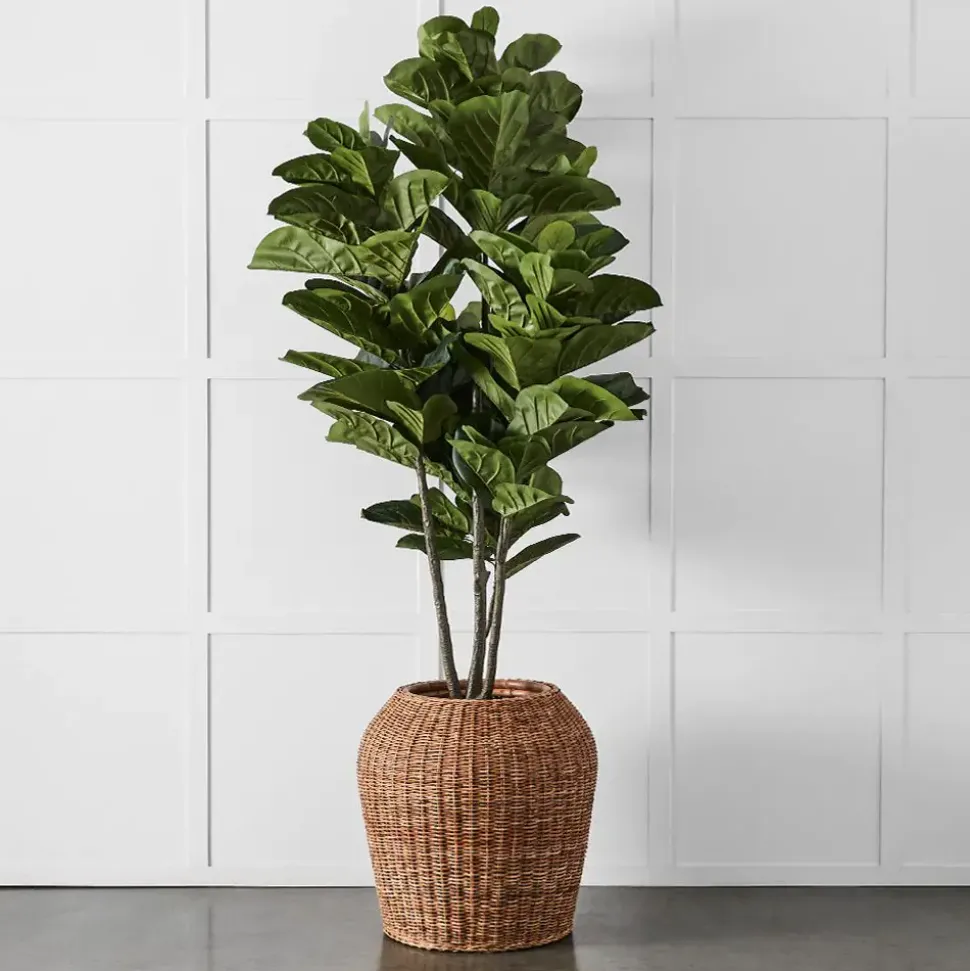 Rafael Planter