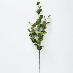 Silver Eucalypt Foliage
