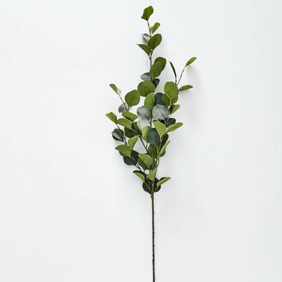 Silver Eucalypt Foliage