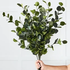Silver Eucalypt Foliage