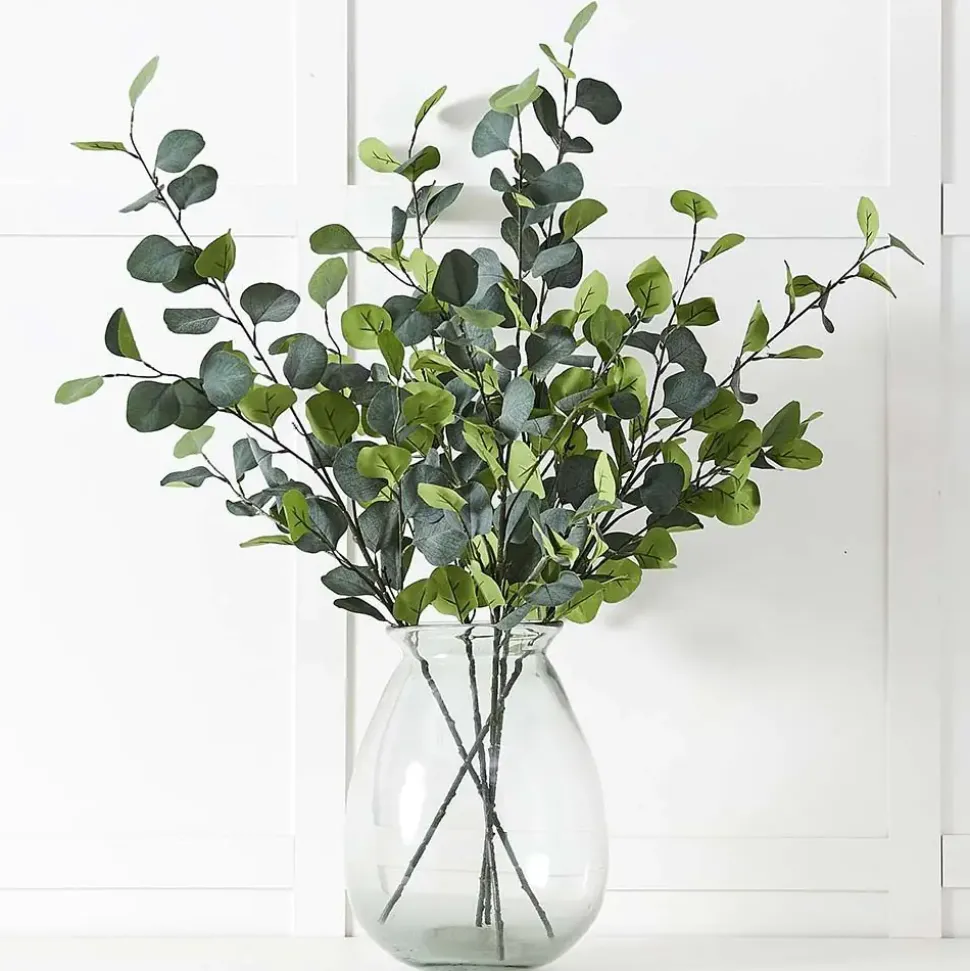 Silver Eucalypt Foliage