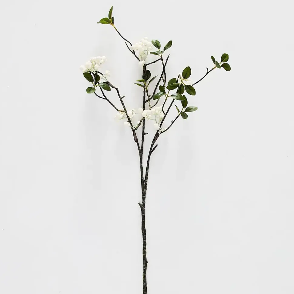 Snowberry Stem