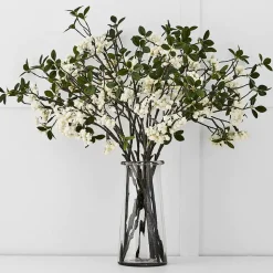 Snowberry Stem