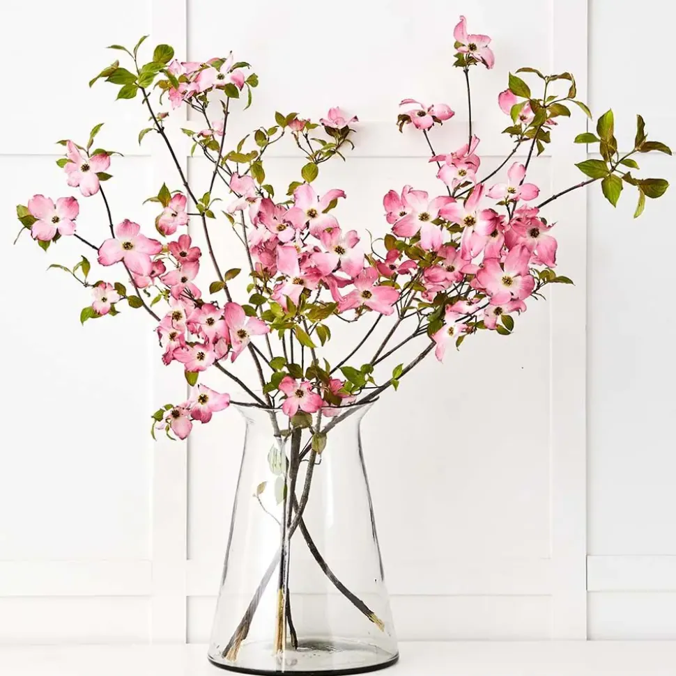 Sofia Vase