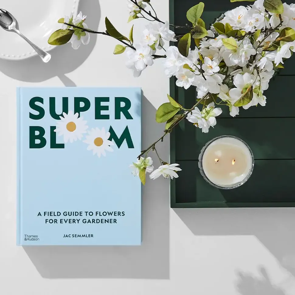 Super Bloom