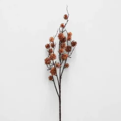 Sycamore Spray