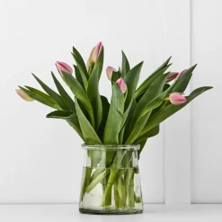 Toledo Vase S