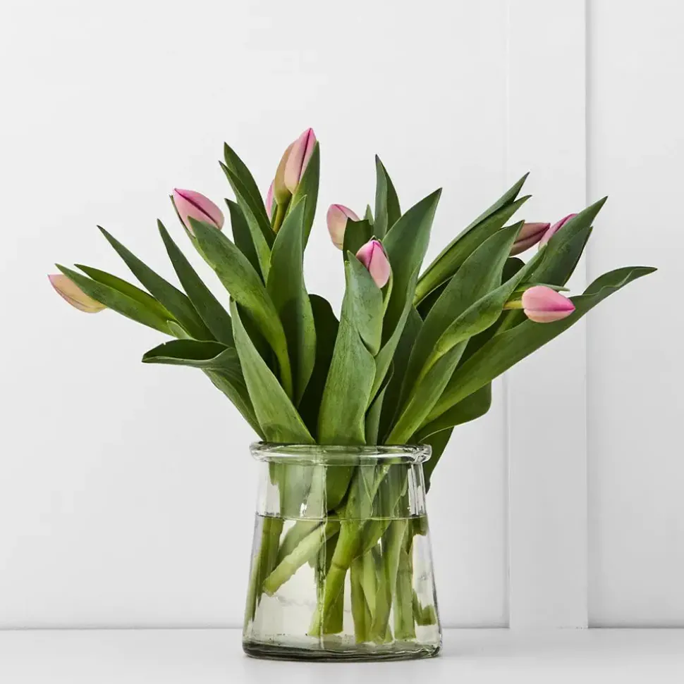 Toledo Vase S