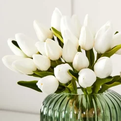 White Tulip Bunch
