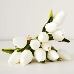 White Tulip Bunch